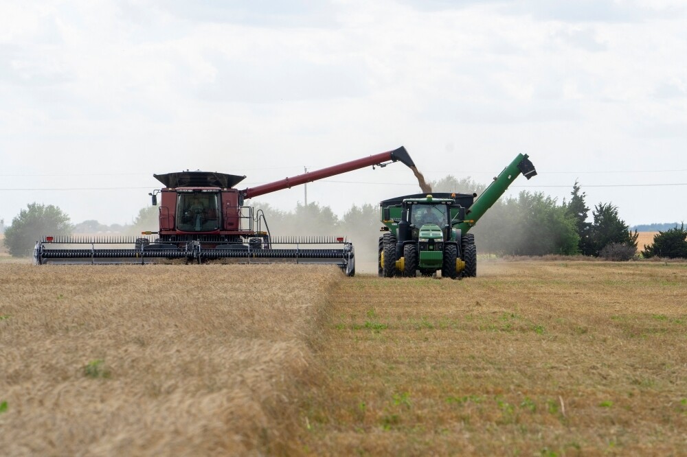 European Wheat Futures Rise on Saudi Tender