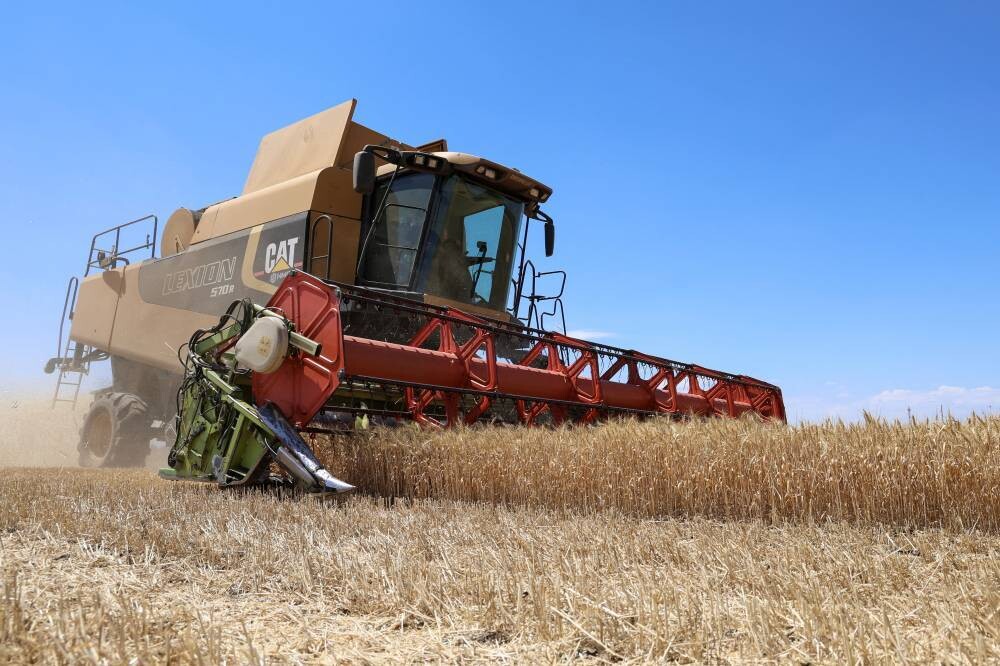 Saudi Arabia Announces Tender to Purchase 300,000 Tons of Wheat