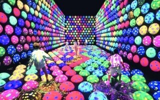 Иммерсивный Цифровой Художественный Музей "teamLab Borderless Jeddah" откроется завтра