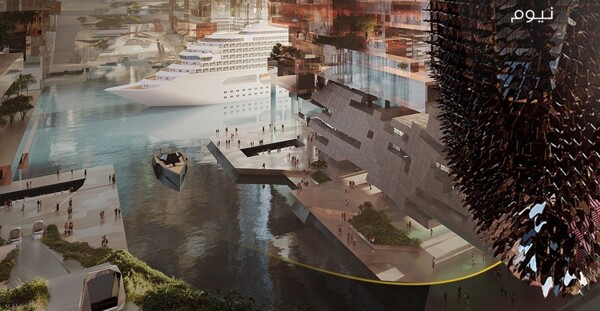 CEO of NEOM City Resigns