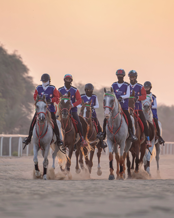 Stables Special Race Held at Al Budeiri International Village