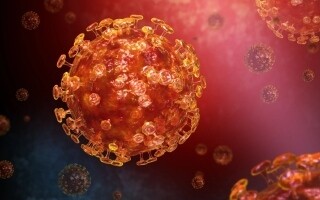 Saudi Arabia Denies New MERS Virus Outbreak